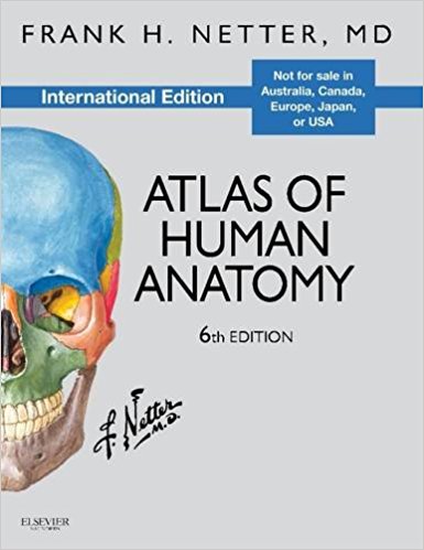 anatomy atlas online